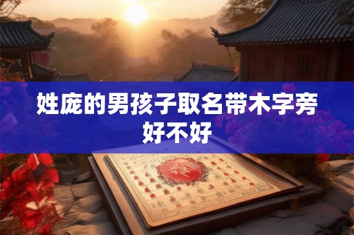 姓庞的男孩子取名带木字旁好不好