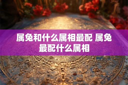 属兔和什么属相最配 属兔最配什么属相