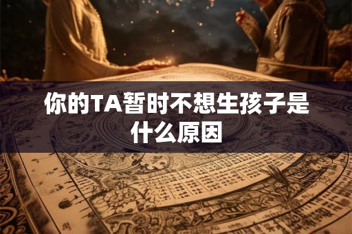 你的TA暂时不想生孩子是什么原因