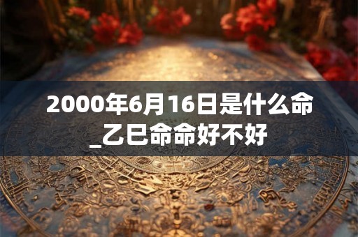 2000年6月16日是什么命_乙巳命命好不好