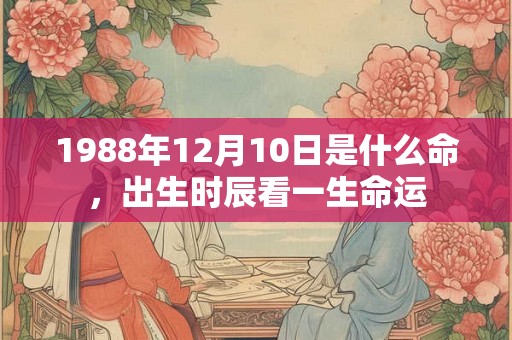 1988年12月10日是什么命,出生时辰看一生命运 1988年12月10日是什么命,出生时辰看一生命运