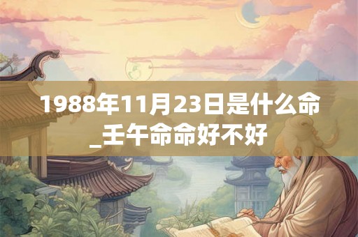 1988年11月23日是什么命_壬午命命好不好