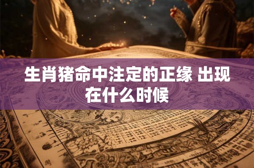 生肖猪命中注定的正缘 出现在什么时候