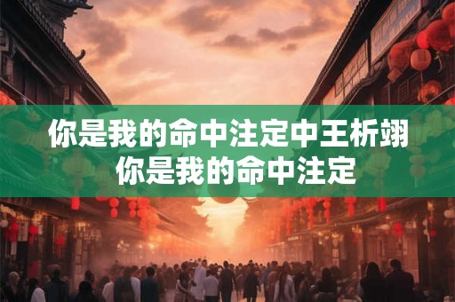 你是我的命中注定中王析翊  你是我的命中注定