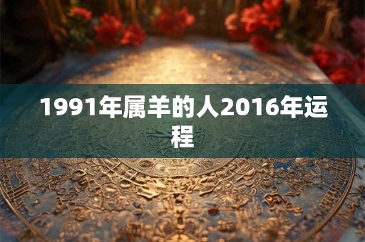1991年属羊的人2016年运程