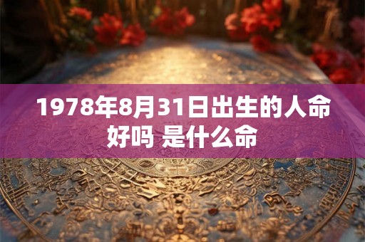 1978年8月31日出生的人命好吗 是什么命