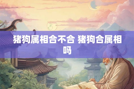 猪狗属相合不合 猪狗合属相吗