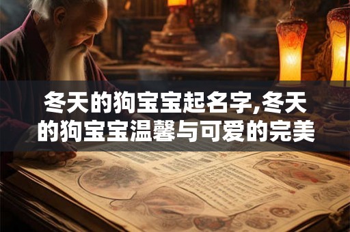 冬天的狗宝宝起名字,冬天的狗宝宝温馨与可爱的完美结合