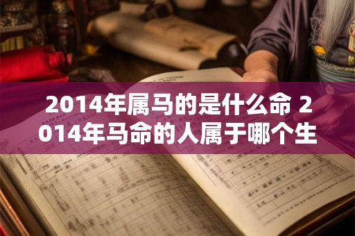 2014年属马的是什么命 2014年马命的人属于哪个生肖