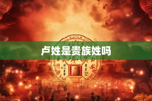 卢姓是贵族姓吗