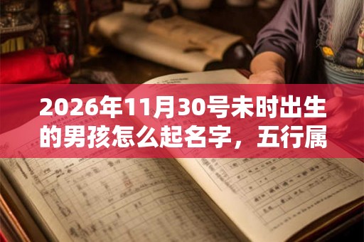 2026年11月30号未时出生的男孩怎么起名字,五行属什么 2026年11月30号未时出生的男孩怎么起名字,五行属什么