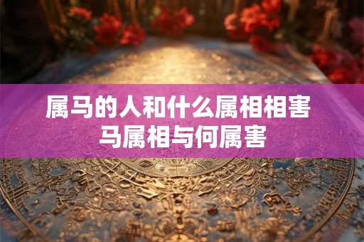 属马的人和什么属相相害 马属相与何属害