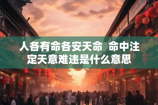 人各有命各安天命  命中注定天意难违是什么意思