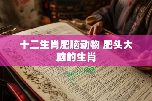 十二生肖肥脑动物 肥头大脑的生肖 十二生肖肥脑动物 肥头大脑的生肖