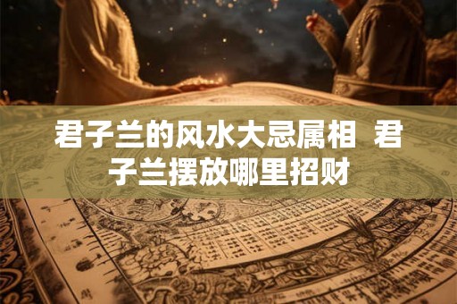 君子兰的风水大忌属相  君子兰摆放哪里招财