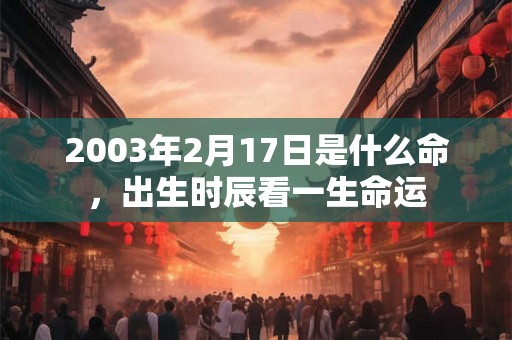 2003年2月17日是什么命，出生时辰看一生命运