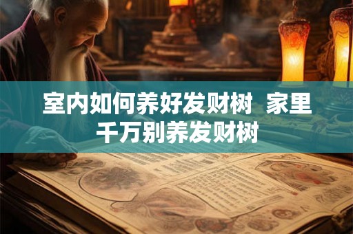室内如何养好发财树  家里千万别养发财树