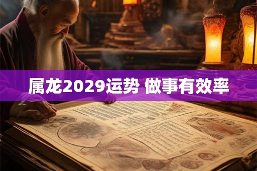 属龙2029运势 做事有效率