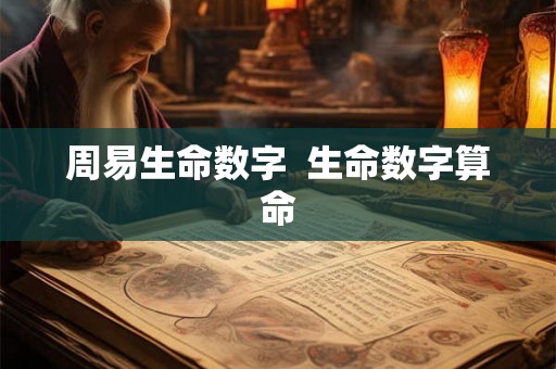 周易生命数字  生命数字算命