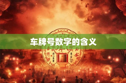 车牌号数字的含义