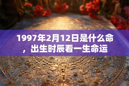 1997年2月12日是什么命，出生时辰看一生命运