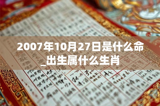 2007年10月27日是什么命_出生属什么生肖