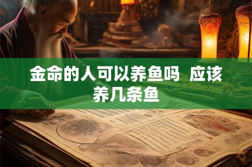 金命的人可以养鱼吗  应该养几条鱼