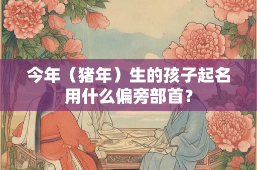 今年（猪年）生的孩子起名用什么偏旁部首？