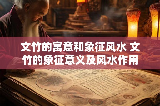 文竹的寓意和象征风水 文竹的象征意义及风水作用