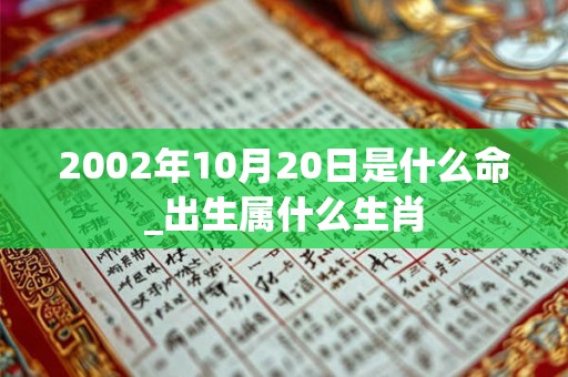 2002年10月20日是什么命_出生属什么生肖 2002年10月20日是什么命_出生属什么生肖