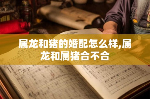 属龙和猪的婚配怎么样,属龙和属猪合不合