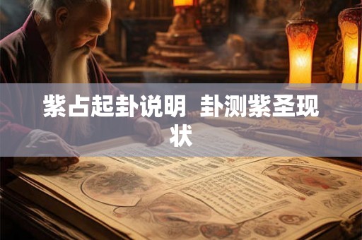 紫占起卦说明  卦测紫圣现状