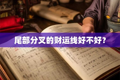 尾部分叉的财运线好不好？
