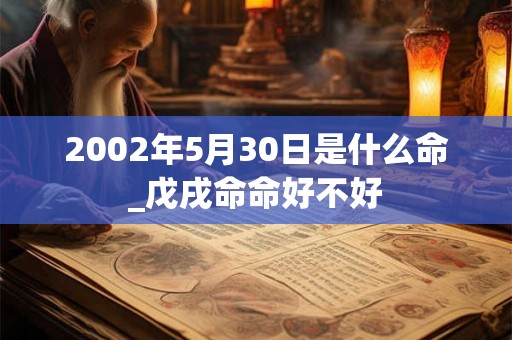 2002年5月30日是什么命_戊戌命命好不好