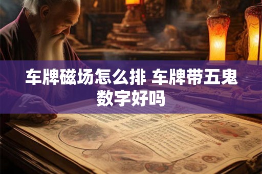车牌磁场怎么排 车牌带五鬼数字好吗