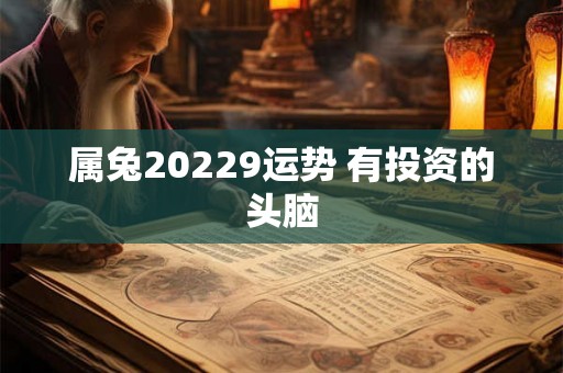 属兔20229运势 有投资的头脑