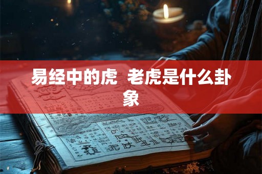 易经中的虎  老虎是什么卦象