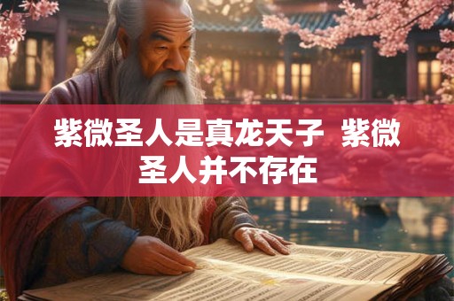 紫微圣人是真龙天子  紫微圣人并不存在