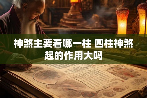 神煞主要看哪一柱 四柱神煞起的作用大吗