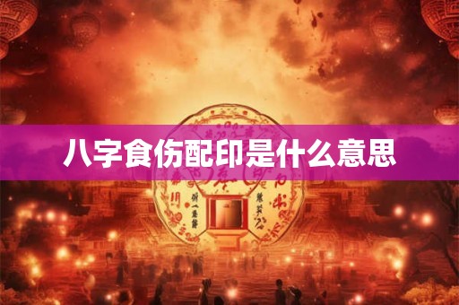 八字食伤配印是什么意思