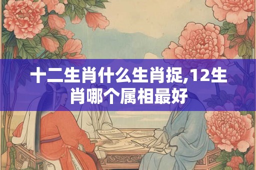 十二生肖什么生肖捉,12生肖哪个属相最好