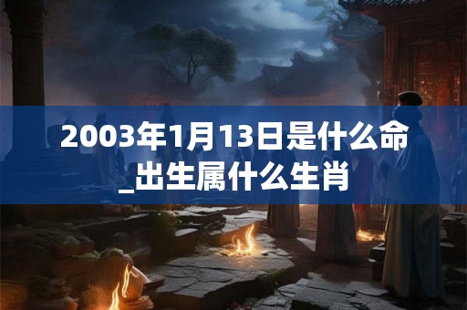 2003年1月13日是什么命_出生属什么生肖