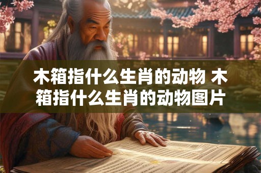 木箱指什么生肖的动物 木箱指什么生肖的动物图片