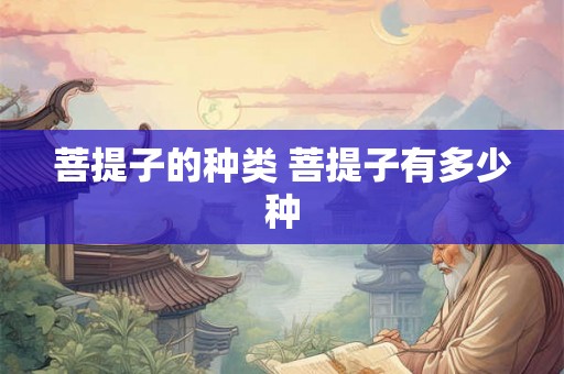 菩提子的种类 菩提子有多少种