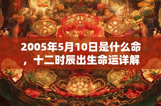2005年5月10日是什么命，十二时辰出生命运详解