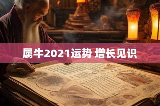 属牛2021运势 增长见识