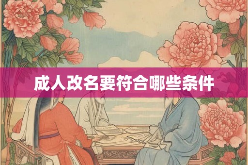 成人改名要符合哪些条件
