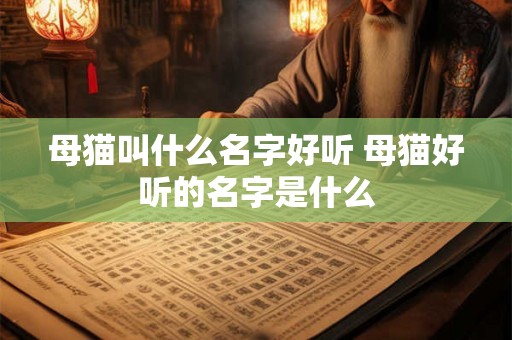 母猫叫什么名字好听 母猫好听的名字是什么 母猫叫什么名字好听 母猫好听的名字是什么