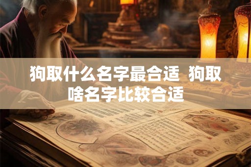 狗取什么名字最合适  狗取啥名字比较合适