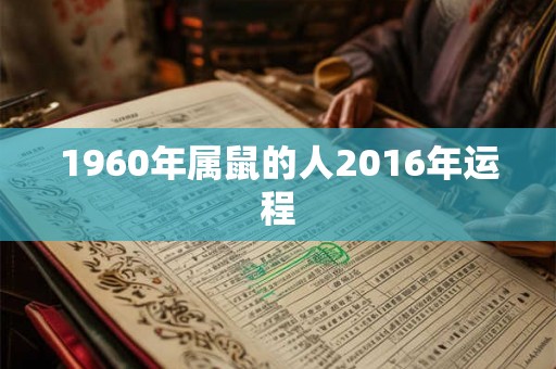 1960年属鼠的人2016年运程